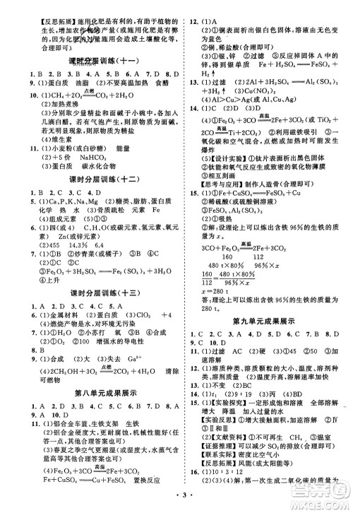 山东教育出版社2024年春初中同步练习册分层卷九年级化学下册人教版参考答案