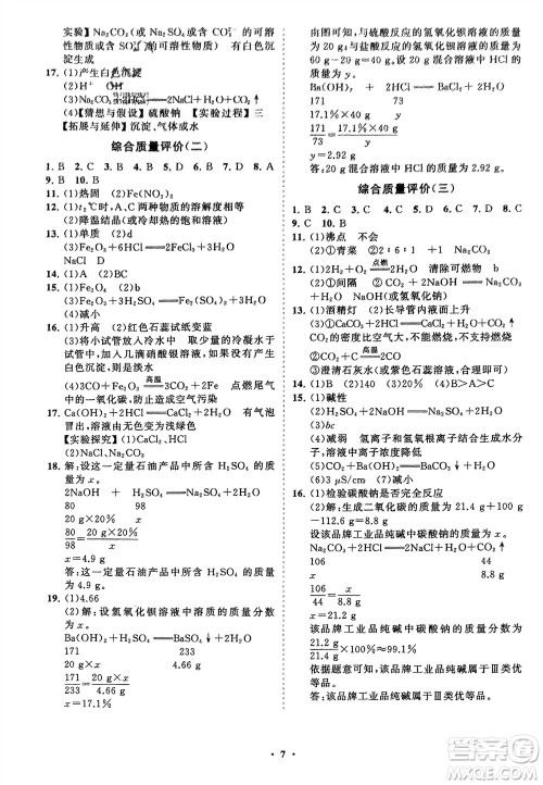山东教育出版社2024年春初中同步练习册分层卷九年级化学下册人教版参考答案