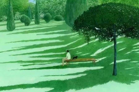 城市漫步和特种兵旅游材料作文800字 关于城市漫步和特种兵旅游的材料作文800字