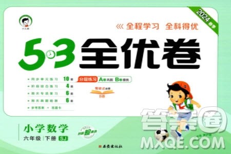 西安出版社2024年春53全优卷六年级数学下册苏教版参考答案
