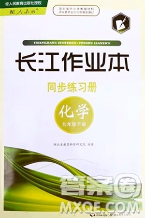 湖北教育出版社2024年春长江作业本同步练习册九年级化学下册人教版答案