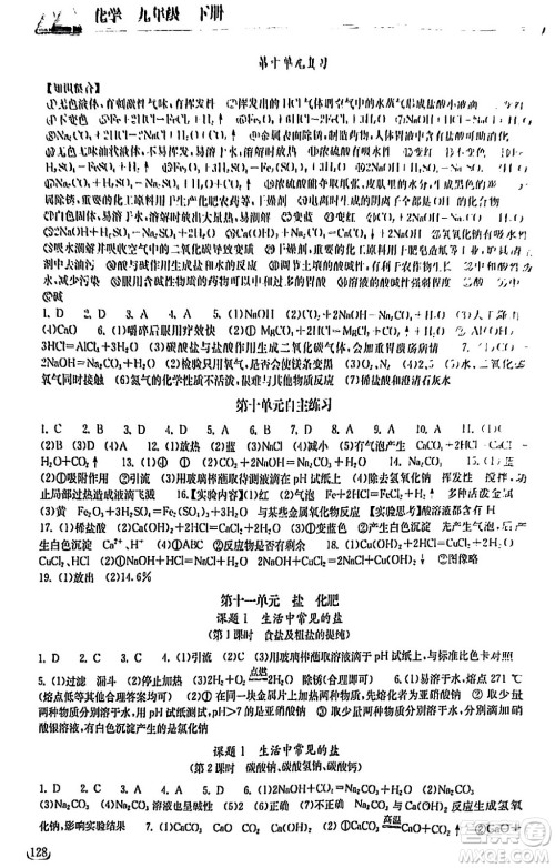 湖北教育出版社2024年春长江作业本同步练习册九年级化学下册人教版答案