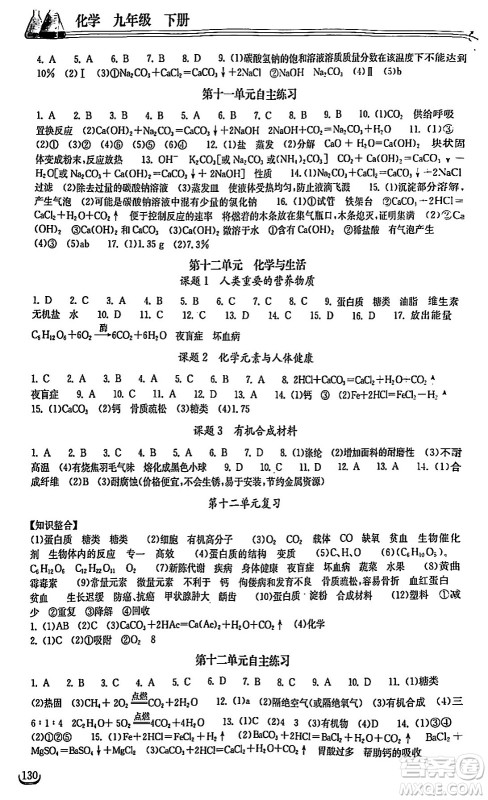 湖北教育出版社2024年春长江作业本同步练习册九年级化学下册人教版答案