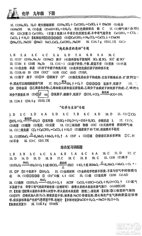 湖北教育出版社2024年春长江作业本同步练习册九年级化学下册人教版答案