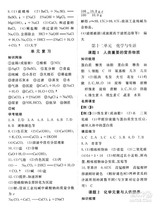 江西人民出版社2024年春一课一练创新练习九年级化学下册人教版答案