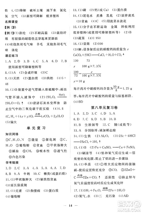 江西人民出版社2024年春一课一练创新练习九年级化学下册人教版答案