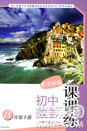 译林出版社2024年春初中数学课课练八年级数学下册苏科版答案 译林出版社2024年春初中数学课课练八年级数学下册苏科版答案
