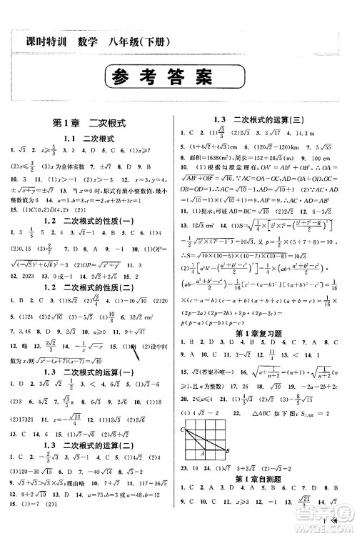 浙江人民出版社2024年春课时特训八年级数学下册浙教版答案