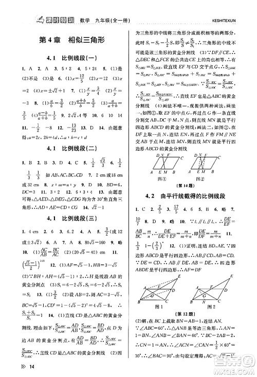 浙江人民出版社2024年春课时特训九年级数学全一册浙教版答案