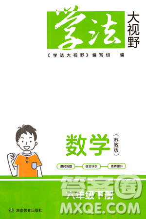 湖南教育出版社2024年春学法大视野六年级数学下册苏教版答案