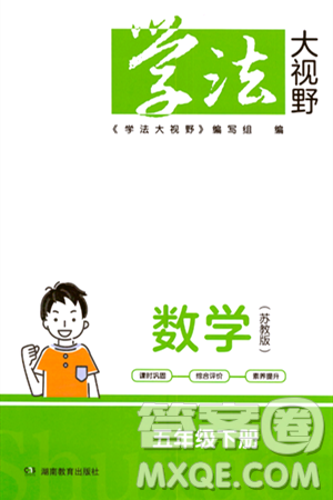 湖南教育出版社2024年春学法大视野五年级数学下册苏教版答案