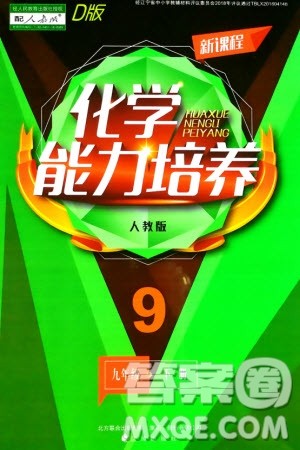 辽海出版社2024年春新课程能力培养九年级化学下册人教版D版大连专版参考答案