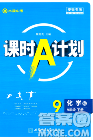 安徽师范大学出版社2024年春课时A计划九年级化学下册人教版安徽专版答案 安徽师范大学出版社2024年春课时A计划九年级化学下册人教版安徽专版答案