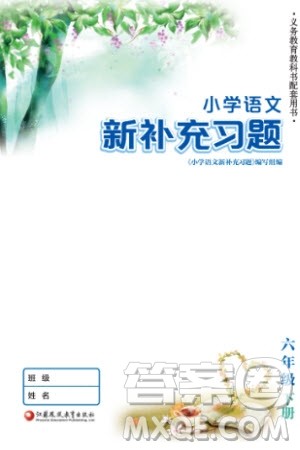 江苏凤凰教育出版社2024年春季小学语文新补充习题六年级下册人教版参考答案