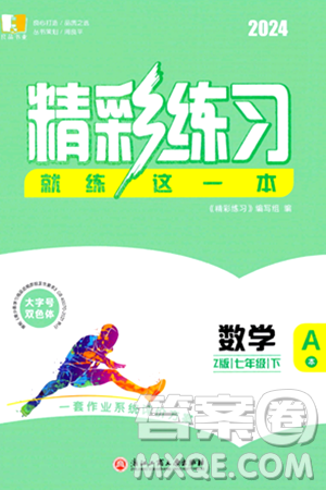 浙江工商大学出版社2024年春精彩练习就练这一本七年级数学下册浙教版答案