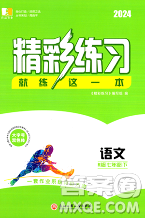 浙江工商大学出版社2024年春精彩练习就练这一本七年级语文下册人教版答案