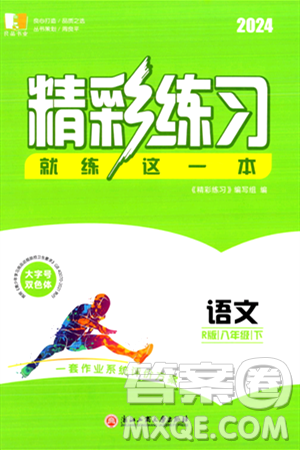 浙江工商大学出版社2024年春精彩练习就练这一本八年级语文下册人教版答案