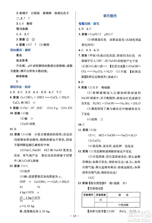 人民教育出版社2024年春人教金学典同步解析与测评学考练九年级化学下册人教版答案