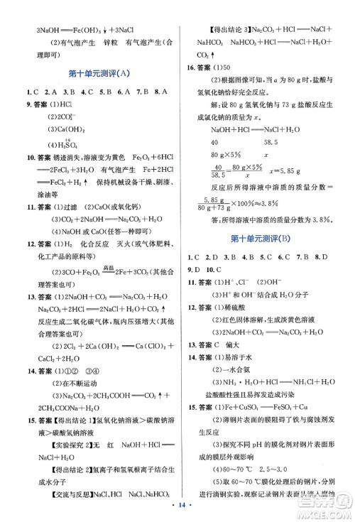 人民教育出版社2024年春人教金学典同步解析与测评学考练九年级化学下册人教版答案