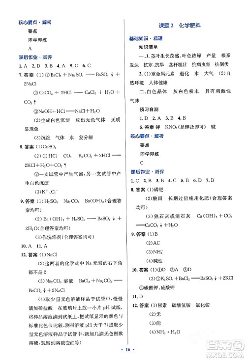人民教育出版社2024年春人教金学典同步解析与测评学考练九年级化学下册人教版答案