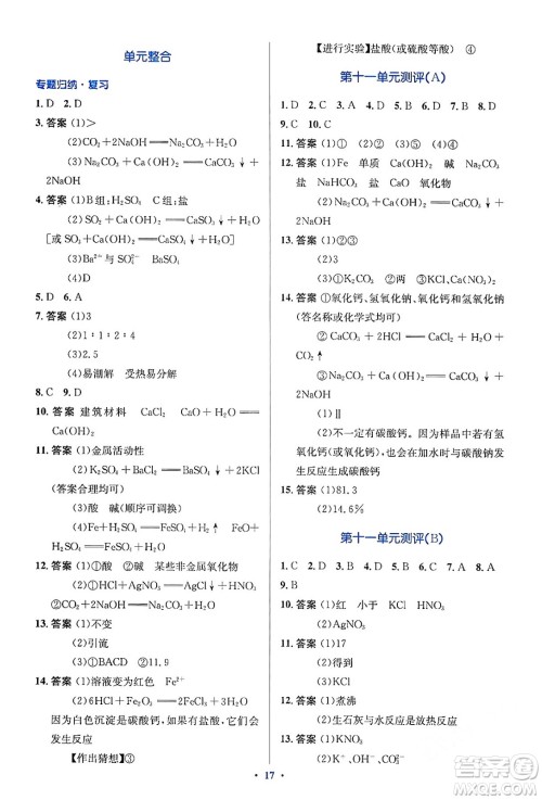 人民教育出版社2024年春人教金学典同步解析与测评学考练九年级化学下册人教版答案