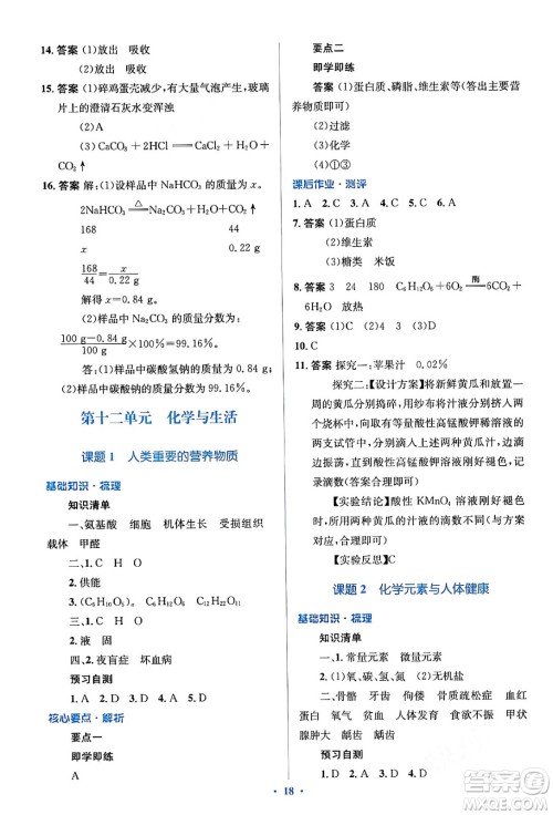 人民教育出版社2024年春人教金学典同步解析与测评学考练九年级化学下册人教版答案