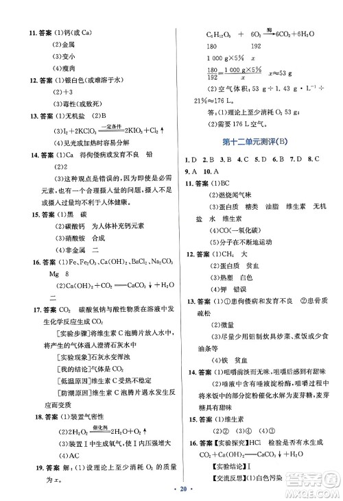 人民教育出版社2024年春人教金学典同步解析与测评学考练九年级化学下册人教版答案