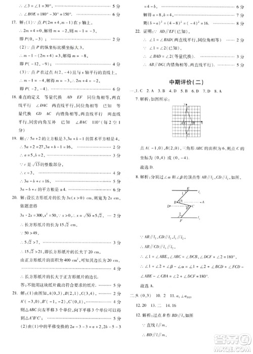 新疆青少年出版社2024年春优学1+1评价与测试七年级数学下册通用版答案