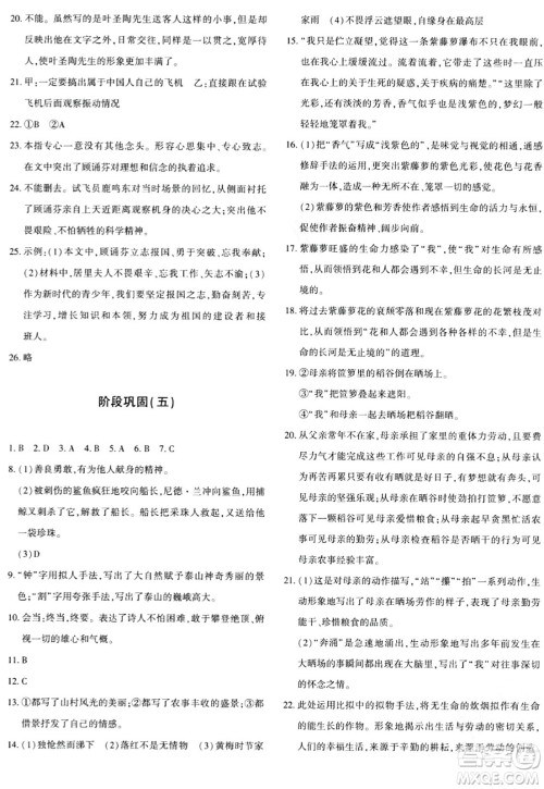 新疆青少年出版社2024年春优学1+1评价与测试七年级语文下册通用版答案 新疆青少年出版社2024年春优学1+1评价与测试七年级语文下册通用版答案