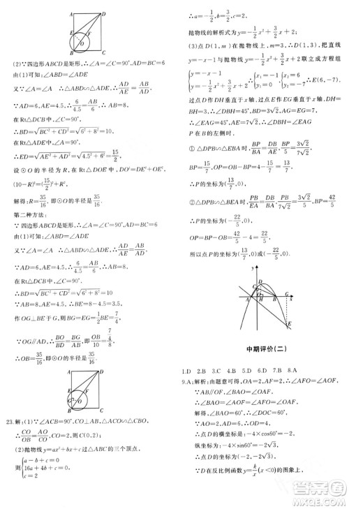 新疆青少年出版社2024年春优学1+1评价与测试九年级数学下册通用版答案