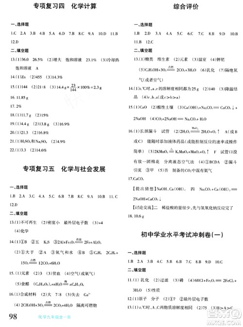 新疆青少年出版社2024年春优学1+1评价与测试九年级化学下册通用版答案