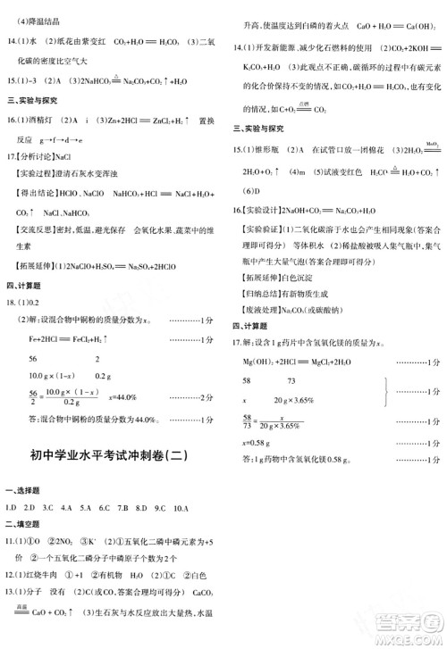 新疆青少年出版社2024年春优学1+1评价与测试九年级化学下册通用版答案