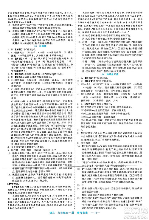 浙江工商大学出版社2024年春精彩练习就练这一本九年级语文下册通用版答案