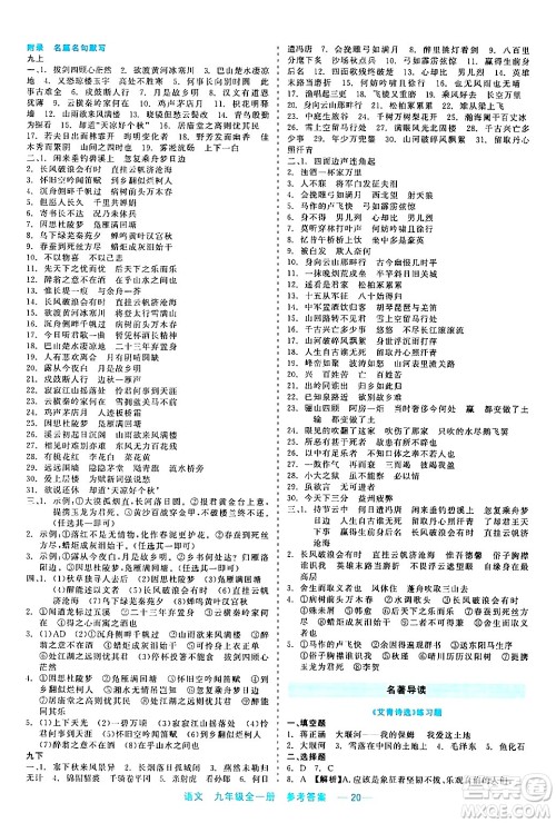 浙江工商大学出版社2024年春精彩练习就练这一本九年级语文下册通用版答案