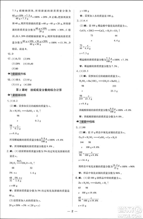 山西教育出版社2024年春荣德基点拨训练九年级化学下册沪教版参考答案