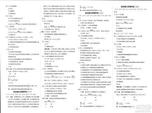 山西教育出版社2024年春荣德基点拨训练九年级化学下册沪教版参考答案