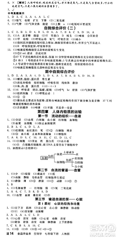 阳光出版社2024年春全品作业本七年级生物下册人教版内蒙古专版答案