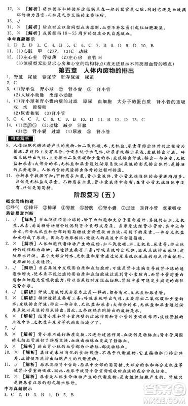阳光出版社2024年春全品作业本七年级生物下册人教版内蒙古专版答案