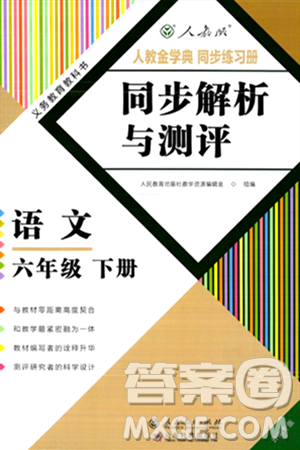 人民教育出版社2024年春人教金学典同步解析与测评学考练六年级语文下册人教版云南专版答案
