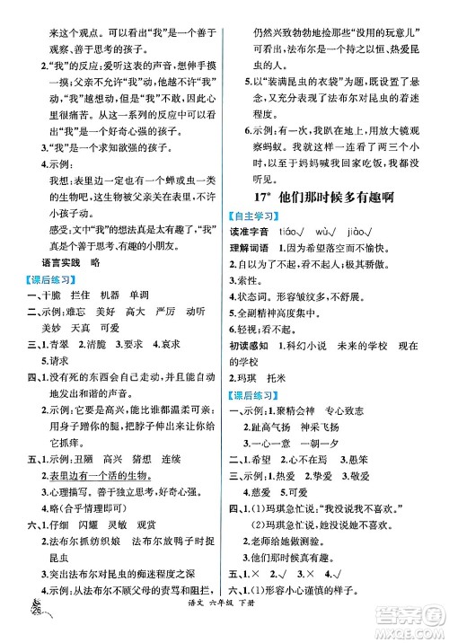 人民教育出版社2024年春人教金学典同步解析与测评学考练六年级语文下册人教版云南专版答案