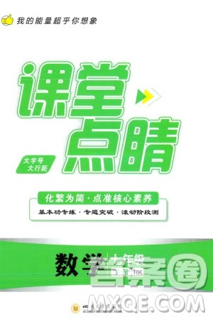 四川大学出版社2024年春课堂点睛七年级数学下册沪科版参考答案