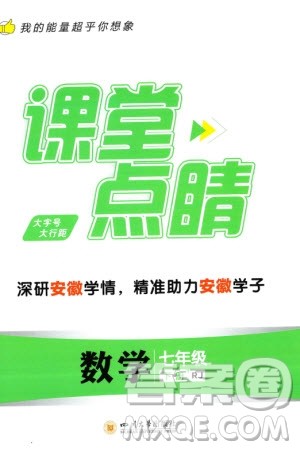 四川大学出版社2024年春课堂点睛七年级数学下册人教版安徽专版参考答案