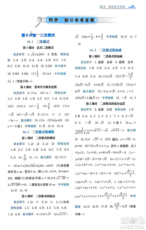 广西教育出版社2024年春自主学习能力测评八年级数学下册人教版参考答案