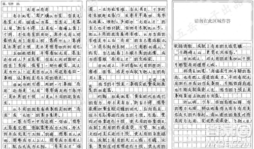 铃铛刺材料作文800字 关于铃铛刺的材料作文800字
