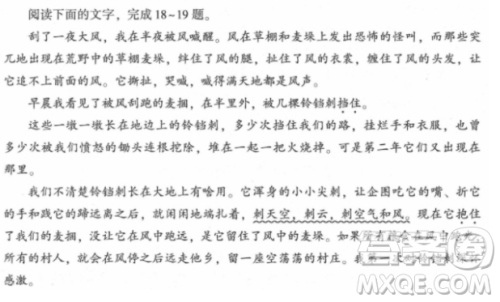 铃铛刺材料作文800字 关于铃铛刺的材料作文800字