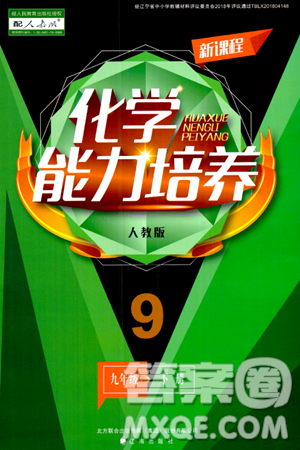 辽海出版社2024年春新课程化学能力培养九年级化学下册人教版答案