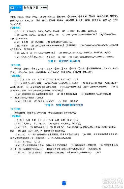 辽海出版社2024年春新课程化学能力培养九年级化学下册人教版答案