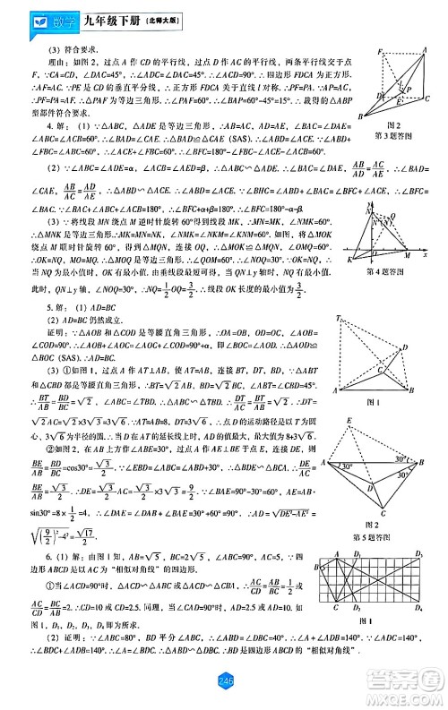 辽海出版社2024年春新课程数学能力培养九年级数学下册北师大版答案 辽海出版社2024年春新课程数学能力培养九年级数学下册北师大版答案