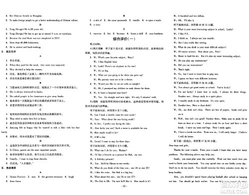 湖南教育出版社2024年春学科素养与能力提升九年级英语下册人教版答案