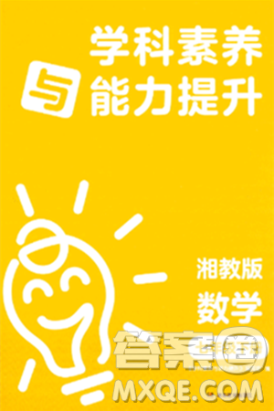 湖南教育出版社2024年春学科素养与能力提升七年级数学下册湘教版答案